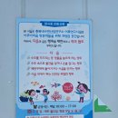 충북 괴산 어류양식체험관 후기｜향어 먹이주기 체험과 아쿠아스토어까지