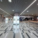 제주의 제주마 이미지