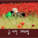 춘향커피숍