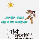 이리 사는것도 이미지