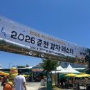에코드림치즈연구소 | 춘천 | 볼거리 가득했던 감자축제 방문 후기