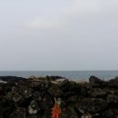 바다가보이는정원민박 이미지