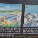 함평 고막천석교 | 도술로 만든 700년된 돌다리 고막천석교 /2024 남도에서 한달여행하기 함평 2일차 (2/4)