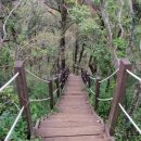 저지오름 이미지