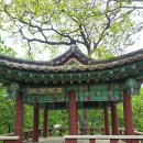 보산정 이미지