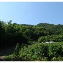 현풍사 | 천방사 승려 변란 사건..