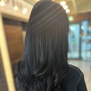 중앙 애견 미용실 이미지