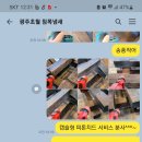 파파컨설던트