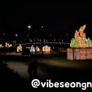 성남 연등회 이미지