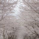 안성 조령천 이미지