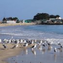 삼정2리 마을회관 이미지