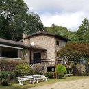 모닝펠리스 이미지