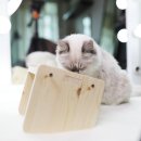 에코사료 이미지