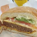 노브랜드버거 부산당감점 이미지