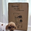 김제강아지 | 🐶뿌꾸 개모차 첫개시💕 김제 카페 오름 애견 동반 카페 재방문!