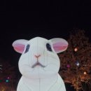 2월호텔 이천점 이미지