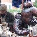 팀케이 복싱 이미지