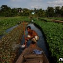 부활농장 이미지