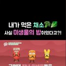 벌통 이동하기 두번째 이미지
