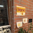 사파동289 이미지