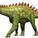 스테고사우루스-2 이미지