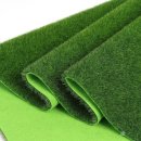 별동자리 이미지