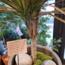 화사랑화원 이미지