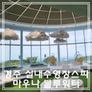 마우나오션 블루 이미지