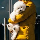 닥터페티앙동물병원 이미지