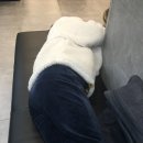 원주김안과의원 이미지