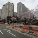 서수원자이아파트 이미지