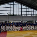 용인대안산유도체육관 이미지