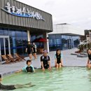 해수녹차센터 이미지