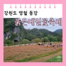 메밀꽃 화장실 | [강원도 영월] 제6회 동강 붉은 메밀꽃 축제 간식 | 화장실 주차장