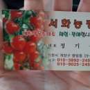 서화농장 이미지