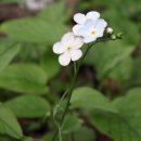 봉화1길 이미지