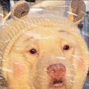 물라PC방 이미지