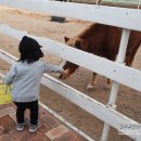워니 농장 이미지