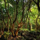 나의 인생 사진과 에세이 이미지