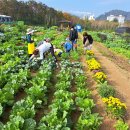 두배농장 이미지