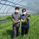 땅끝축산 이미지