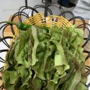 섭이네식육식당 네이버블로그