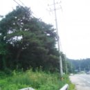 학림유치원 이미지