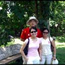 마이마이 이미지