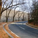 대청호오백리길 대청로하스길 이미지