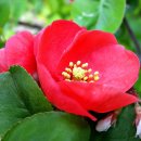 리듬댄스 이미지