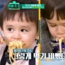 앵그리 밥 이미지