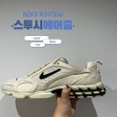 에어 줌 스피리돈 케이지2