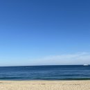 바다냠냠