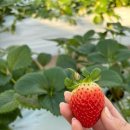 장태산농장 이미지